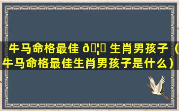 牛马命格最佳 🦉 生肖男孩子（牛马命格最佳生肖男孩子是什么）